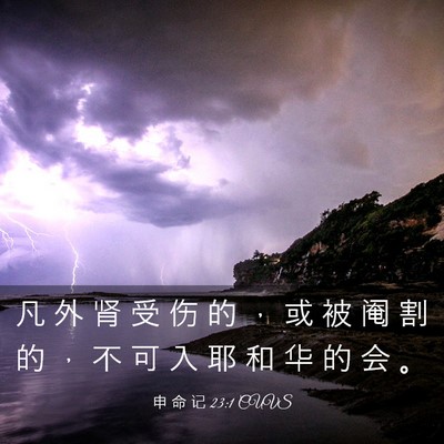 Picture 03 - 申 命 记 23:1 CUVS - 凡 外 肾 受 伤 的 ， 或 被 阉 割 的 - Bible Verse Picture
