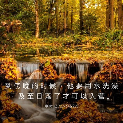 Picture 03 - 申 命 记 23:11 CUVS - 到 傍 晚 的 时 候 ， 他 要 用 水 洗 - Bible Verse Picture