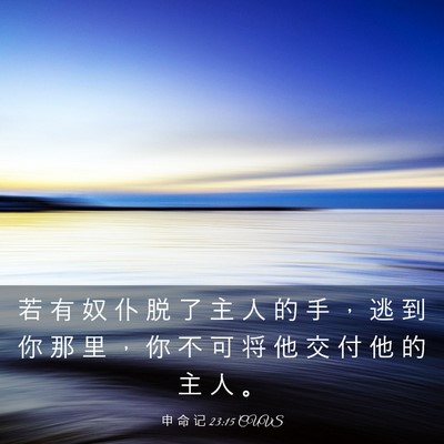 Picture 03 - 申 命 记 23:15 CUVS - 若 有 奴 仆 脱 了 主 人 的 手 ， 逃 - Bible Verse Picture