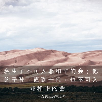 Picture 03 - 申 命 记 23:2 CUVS - 私 生 子 不 可 入 耶 和 华 的 会 ； - Bible Verse Picture