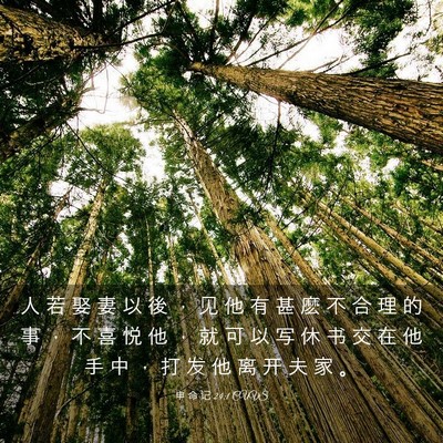 Picture 03 - 申 命 记 24:1 CUVS - 人 若 娶 妻 以 後 ， 见 他 有 甚 麽 - Bible Verse Picture