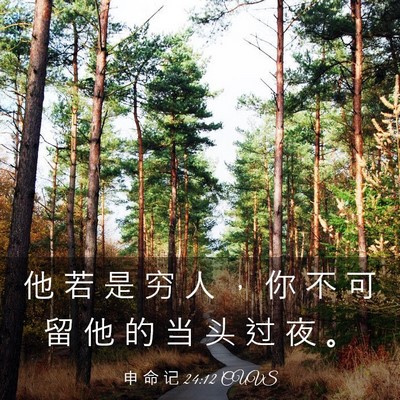 Picture 03 - 申 命 记 24:12 CUVS - 他 若 是 穷 人 ， 你 不 可 留 他 的 - Bible Verse Picture