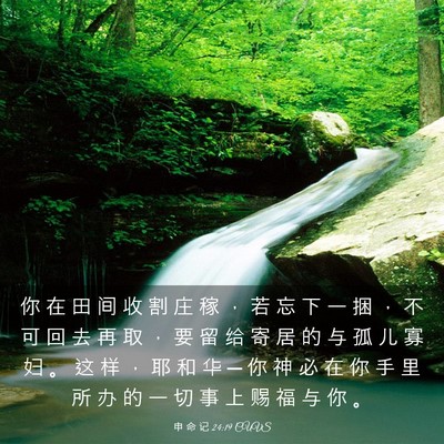 Picture 03 - 申 命 记 24:19 CUVS - 你 在 田 间 收 割 庄 稼 ， 若 忘 下 - Bible Verse Picture