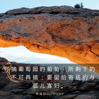 Picture 03 - 申 命 记 24:21 CUVS - 你 摘 葡 萄 园 的 葡 萄 ， 所 剩 下 - Bible Verse Picture