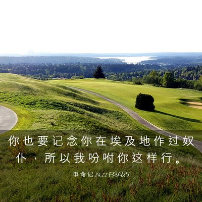 Picture 03 - 申 命 记 24:22 CUVS - 你 也 要 记 念 你 在 埃 及 地 作 过 - Bible Verse Picture