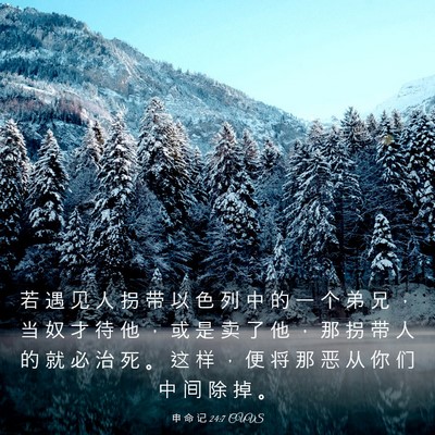 Picture 03 - 申 命 记 24:7 CUVS - 若 遇 见 人 拐 带 以 色 列 中 的 一 - Bible Verse Picture