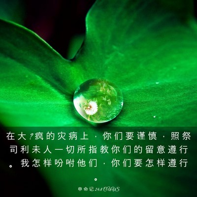 Picture 03 - 申 命 记 24:8 CUVS - 在 大 ? 疯 的 灾 病 上 ， 你 们 要 谨 - Bible Verse Picture
