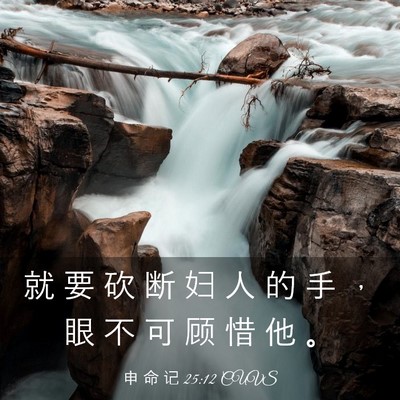Picture 03 - 申 命 记 25:12 CUVS - 就 要 砍 断 妇 人 的 手 ， 眼 不 可 - Bible Verse Picture