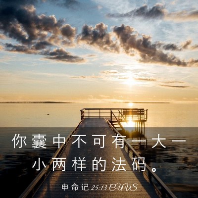 Picture 03 - 申 命 记 25:13 CUVS - 你 囊 中 不 可 有 一 大 一 小 两 样 - Bible Verse Picture