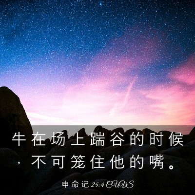 Picture 03 - 申 命 记 25:4 CUVS - 牛 在 场 上 踹 谷 的 时 候 ， 不 可 - Bible Verse Picture