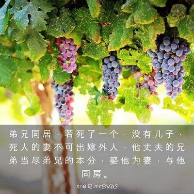 Picture 03 - 申 命 记 25:5 CUVS - 弟 兄 同 居 ， 若 死 了 一 个 ， 没 - Bible Verse Picture