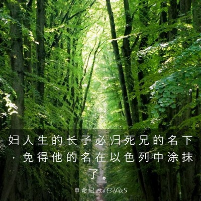 Picture 03 - 申 命 记 25:6 CUVS - 妇 人 生 的 长 子 必 归 死 兄 的 名 - Bible Verse Picture