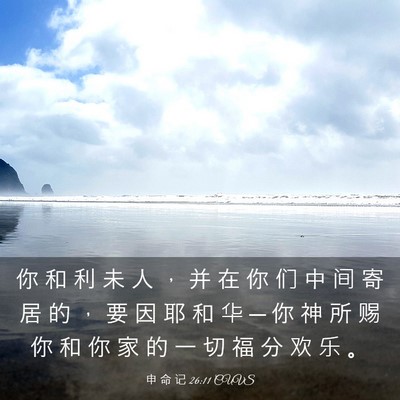Picture 03 - 申 命 记 26:11 CUVS - 你 和 利 未 人 ， 并 在 你 们 中 间 - Bible Verse Picture