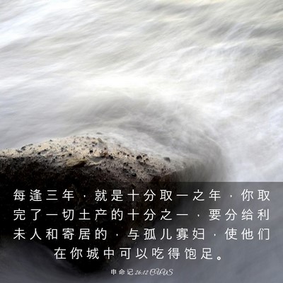 Picture 03 - 申 命 记 26:12 CUVS - 每 逢 三 年 ， 就 是 十 分 取 一 之 - Bible Verse Picture