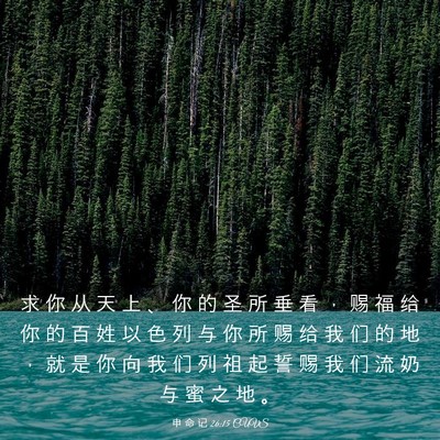 Picture 03 - 申 命 记 26:15 CUVS - 求 你 从 天 上 、 你 的 圣 所 垂 看 - Bible Verse Picture