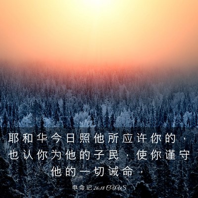 Picture 03 - 申 命 记 26:18 CUVS - 耶 和 华 今 日 照 他 所 应 许 你 的 - Bible Verse Picture