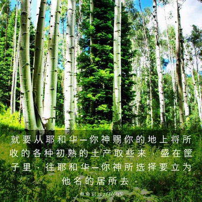 Picture 03 - 申 命 记 26:2 CUVS - 就 要 从 耶 和 华 ─ 你 神 赐 你 的 - Bible Verse Picture