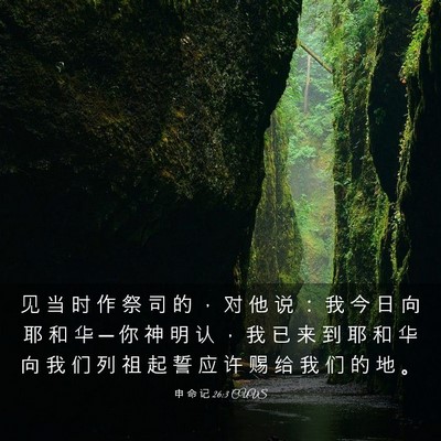 Picture 03 - 申 命 记 26:3 CUVS - 见 当 时 作 祭 司 的 ， 对 他 说 ： - Bible Verse Picture