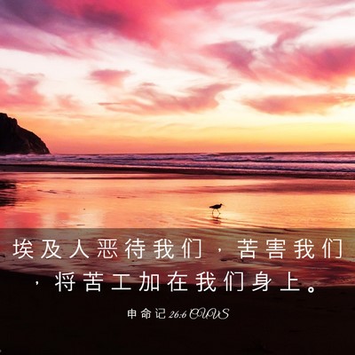 Picture 03 - 申 命 记 26:6 CUVS - 埃 及 人 恶 待 我 们 ， 苦 害 我 们 - Bible Verse Picture