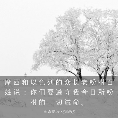 Picture 03 - 申 命 记 27:1 CUVS - 摩 西 和 以 色 列 的 众 长 老 吩 咐 - Bible Verse Picture