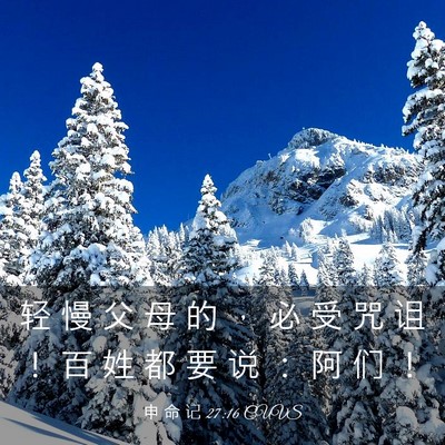 Picture 03 - 申 命 记 27:16 CUVS - 轻 慢 父 母 的 ， 必 受 咒 诅 ！ 百 - Bible Verse Picture