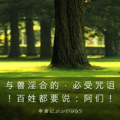 Picture 03 - 申 命 记 27:21 CUVS - 与 兽 淫 合 的 ， 必 受 咒 诅 ！ 百 - Bible Verse Picture