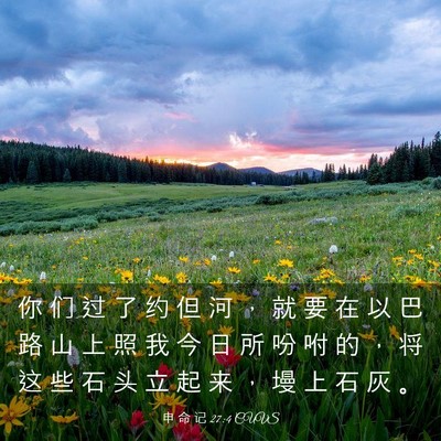 Picture 03 - 申 命 记 27:4 CUVS - 你 们 过 了 约 但 河 ， 就 要 在 以 - Bible Verse Picture