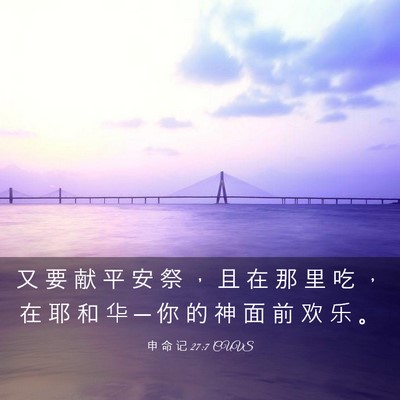 Picture 03 - 申 命 记 27:7 CUVS - 又 要 献 平 安 祭 ， 且 在 那 里 吃 - Bible Verse Picture