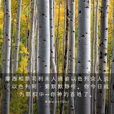 Picture 03 - 申 命 记 27:9 CUVS - 摩 西 和 祭 司 利 未 人 晓 谕 以 色 - Bible Verse Picture
