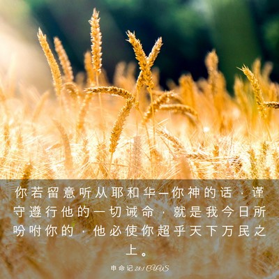 Picture 03 - 申 命 记 28:1 CUVS - 你 若 留 意 听 从 耶 和 华 ─ 你 神 - Bible Verse Picture