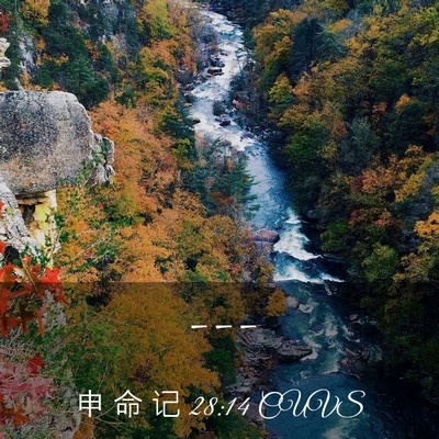 Picture 03 - 申 命 记 28:14 CUVS -  - Bible Verse Picture