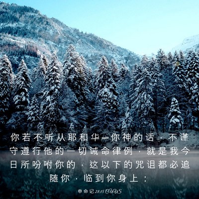 Picture 03 - 申 命 记 28:15 CUVS - 你 若 不 听 从 耶 和 华 ─ 你 神 的 - Bible Verse Picture