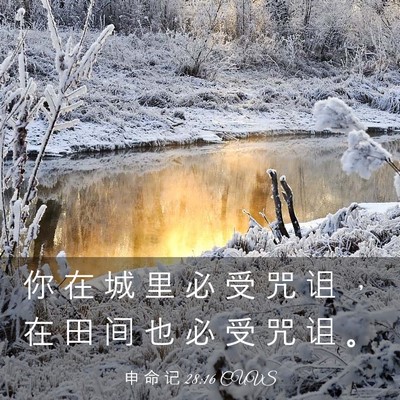 Picture 03 - 申 命 记 28:16 CUVS - 你 在 城 里 必 受 咒 诅 ， 在 田 间 - Bible Verse Picture