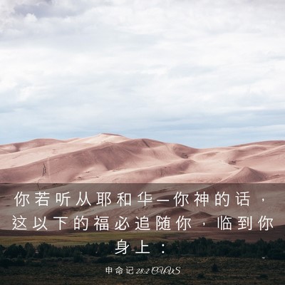 Picture 03 - 申 命 记 28:2 CUVS - 你 若 听 从 耶 和 华 ─ 你 神 的 话 - Bible Verse Picture