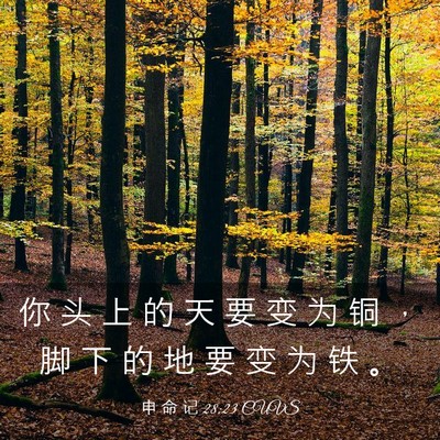 Picture 03 - 申 命 记 28:23 CUVS - 你 头 上 的 天 要 变 为 铜 ， 脚 下 - Bible Verse Picture