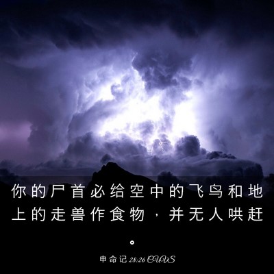 Picture 03 - 申 命 记 28:26 CUVS - 你 的 尸 首 必 给 空 中 的 飞 鸟 和 - Bible Verse Picture