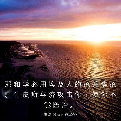 Picture 03 - 申 命 记 28:27 CUVS - 耶 和 华 必 用 埃 及 人 的 疮 并 痔 - Bible Verse Picture
