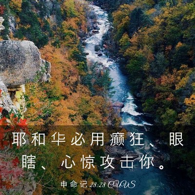Picture 03 - 申 命 记 28:28 CUVS - 耶 和 华 必 用 癫 狂 、 眼 瞎 、 心 - Bible Verse Picture