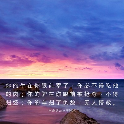 Picture 03 - 申 命 记 28:31 CUVS - 你 的 牛 在 你 眼 前 宰 了 ， 你 必 - Bible Verse Picture