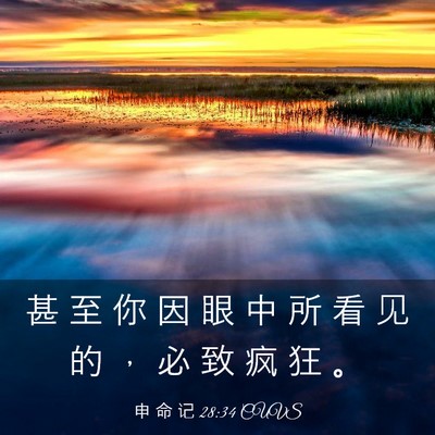 Picture 03 - 申 命 记 28:34 CUVS - 甚 至 你 因 眼 中 所 看 见 的 ， 必 - Bible Verse Picture