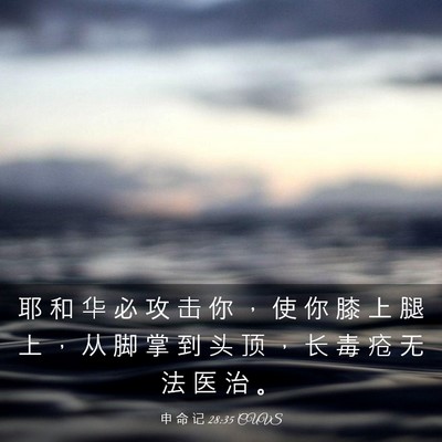 Picture 03 - 申 命 记 28:35 CUVS - 耶 和 华 必 攻 击 你 ， 使 你 膝 上 - Bible Verse Picture