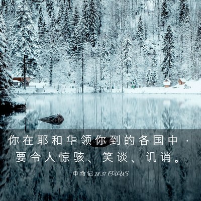 Picture 03 - 申 命 记 28:37 CUVS - 你 在 耶 和 华 领 你 到 的 各 国 中 - Bible Verse Picture