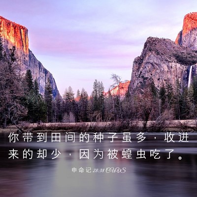 Picture 03 - 申 命 记 28:38 CUVS - 你 带 到 田 间 的 种 子 虽 多 ， 收 - Bible Verse Picture