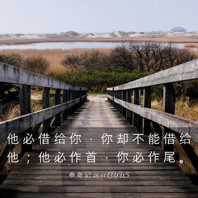Picture 03 - 申 命 记 28:44 CUVS - 他 必 借 给 你 ， 你 却 不 能 借 给 - Bible Verse Picture
