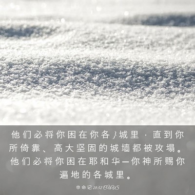 Picture 03 - 申 命 记 28:52 CUVS - 他 们 必 将 你 困 在 你 各 } 城 里 ， - Bible Verse Picture