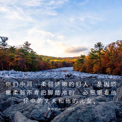 Picture 03 - 申 命 记 28:56 CUVS - 你 们 中 间 ， 柔 弱 娇 嫩 的 妇 人 - Bible Verse Picture