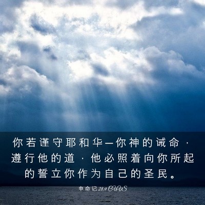 Picture 03 - 申 命 记 28:9 CUVS - 你 若 谨 守 耶 和 华 ─ 你 神 的 诫 - Bible Verse Picture