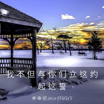 Picture 03 - 申 命 记 29:14 CUVS - 我 不 但 与 你 们 立 这 约 ， 起 这 - Bible Verse Picture