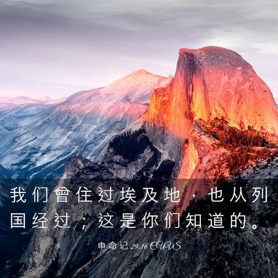 Picture 03 - 申 命 记 29:16 CUVS - 我 们 曾 住 过 埃 及 地 ， 也 从 列 - Bible Verse Picture