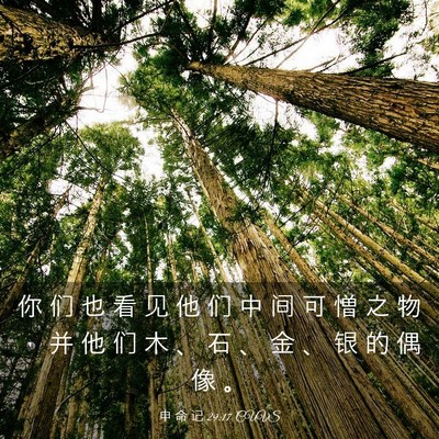 Picture 03 - 申 命 记 29:17 CUVS - 你 们 也 看 见 他 们 中 间 可 憎 之 - Bible Verse Picture